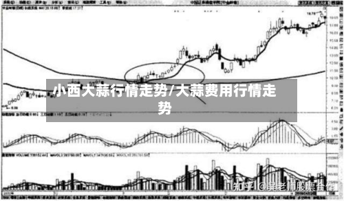小西大蒜行情走势/大蒜费用行情走势