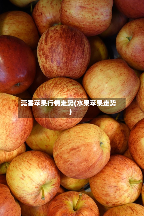 莞香苹果行情走势(水果苹果走势)-第3张图片