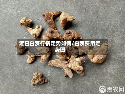 近日白芨行情走势如何/白芨费用走势图