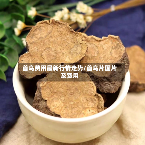 首乌费用最新行情走势/首乌片图片及费用-第2张图片