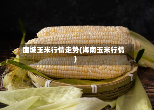 崖城玉米行情走势(海南玉米行情)