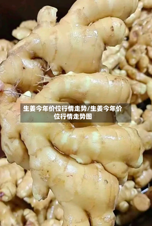 生姜今年价位行情走势/生姜今年价位行情走势图