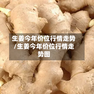 生姜今年价位行情走势/生姜今年价位行情走势图-第2张图片