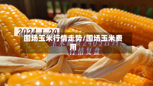 围场玉米行情走势/围场玉米费用-第2张图片