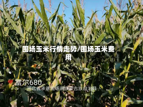 围场玉米行情走势/围场玉米费用-第3张图片