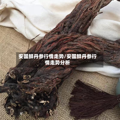 安国鲜丹参行情走势/安国鲜丹参行情走势分析-第2张图片