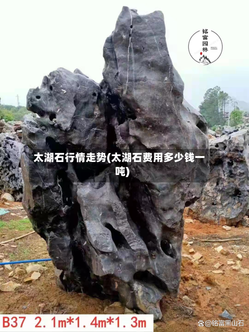 太湖石行情走势(太湖石费用多少钱一吨)