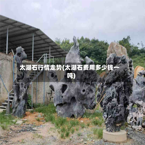 太湖石行情走势(太湖石费用多少钱一吨)-第3张图片