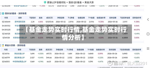 【基金走势实时行情,基金走势实时行情分析】-第3张图片