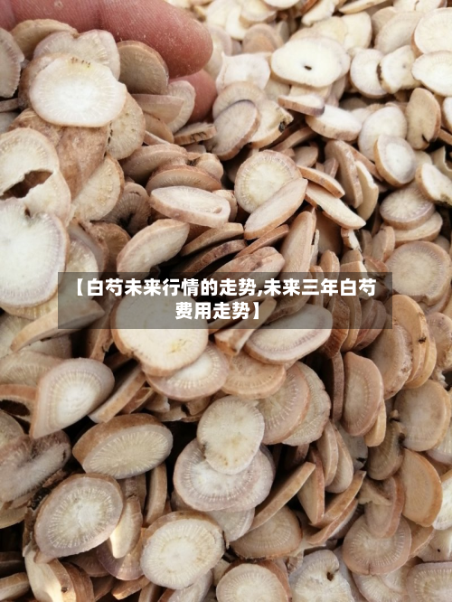【白芍未来行情的走势,未来三年白芍费用走势】-第3张图片