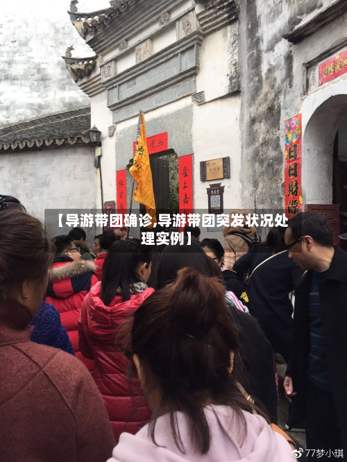 【导游带团确诊,导游带团突发状况处理实例】-第2张图片