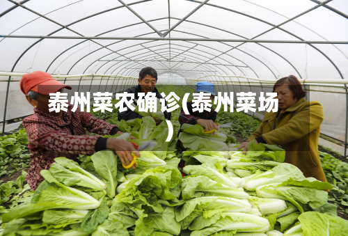 泰州菜农确诊(泰州菜场)-第3张图片