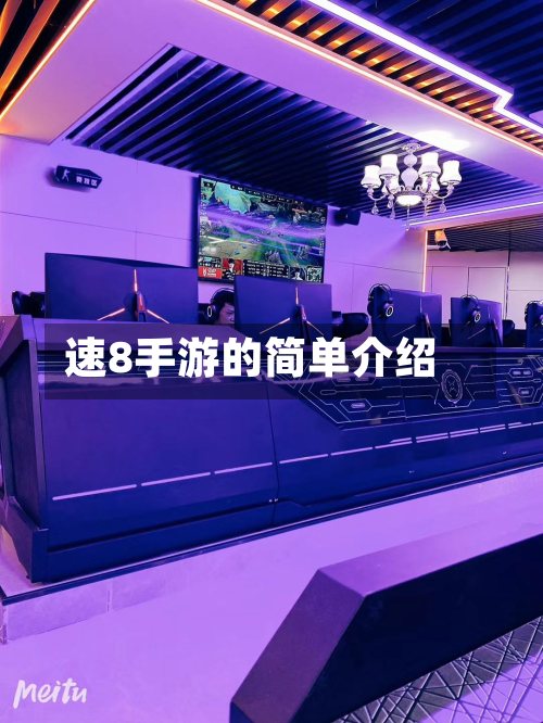 速8手游的简单介绍