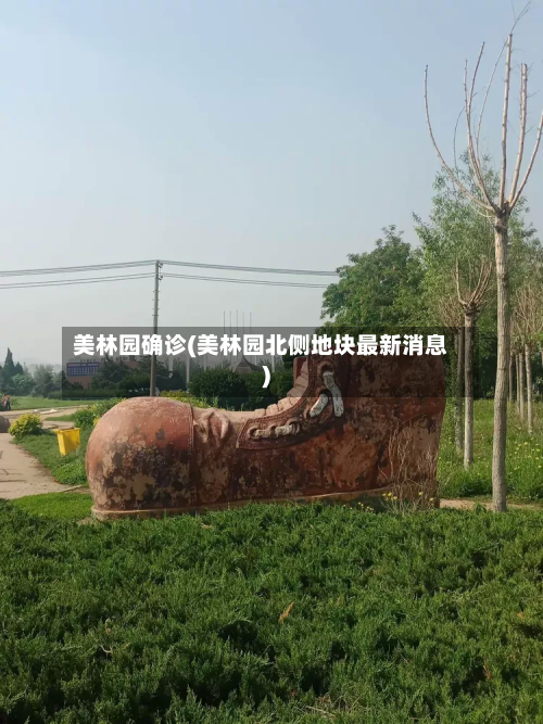 美林园确诊(美林园北侧地块最新消息)-第2张图片