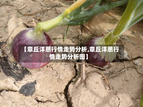 【章丘洋葱行情走势分析,章丘洋葱行情走势分析图】