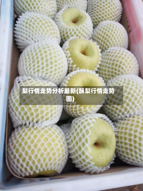 梨行情走势分析最新(酥梨行情走势图)