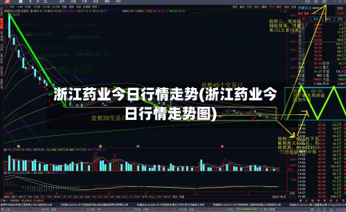 浙江药业今日行情走势(浙江药业今日行情走势图)