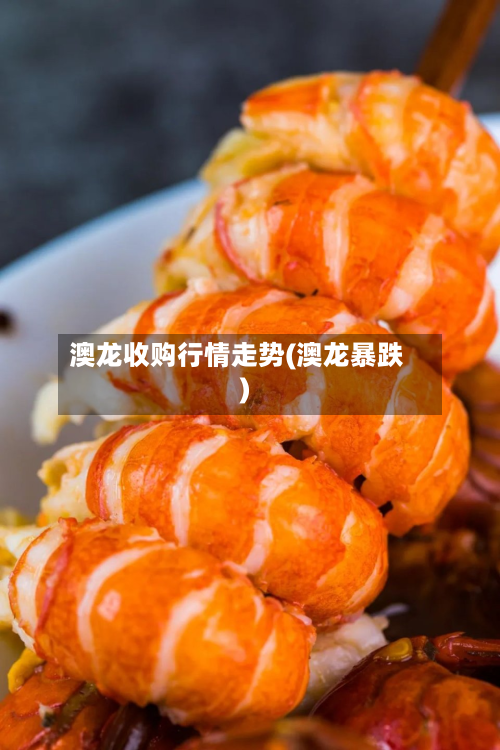 澳龙收购行情走势(澳龙暴跌)-第2张图片