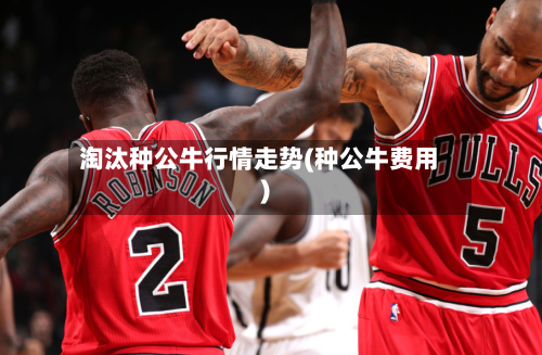 淘汰种公牛行情走势(种公牛费用)
