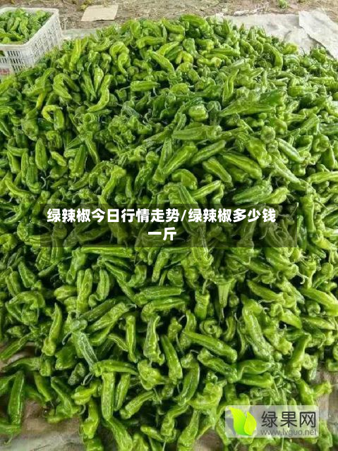 绿辣椒今日行情走势/绿辣椒多少钱一斤