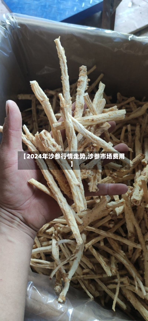 【2024年沙参行情走势,沙参市场费用】-第3张图片
