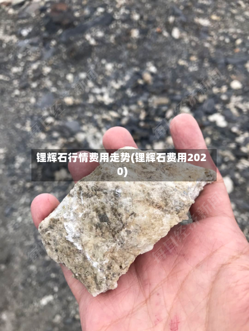 锂辉石行情费用走势(锂辉石费用2020)