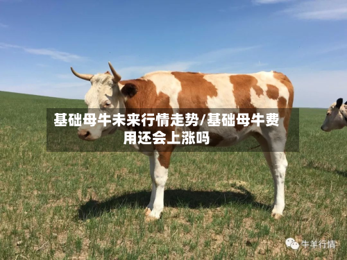基础母牛未来行情走势/基础母牛费用还会上涨吗-第3张图片