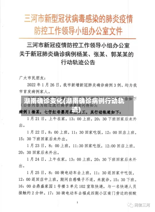 湖南确诊变化(湖南确诊病例行动轨迹)-第2张图片