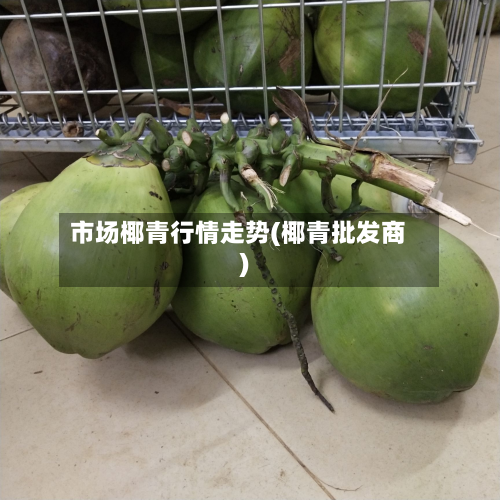 市场椰青行情走势(椰青批发商)