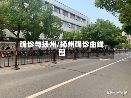 确诊与扬州/扬州确诊曲线图-第2张图片
