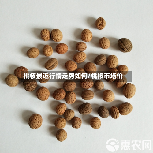 桃核最近行情走势如何/桃核市场价