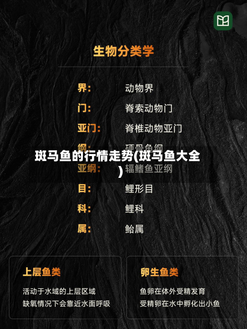 斑马鱼的行情走势(斑马鱼大全)-第2张图片