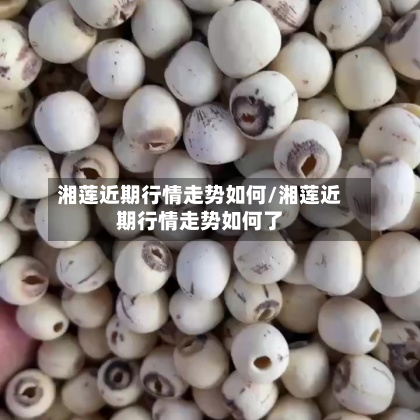 湘莲近期行情走势如何/湘莲近期行情走势如何了-第3张图片