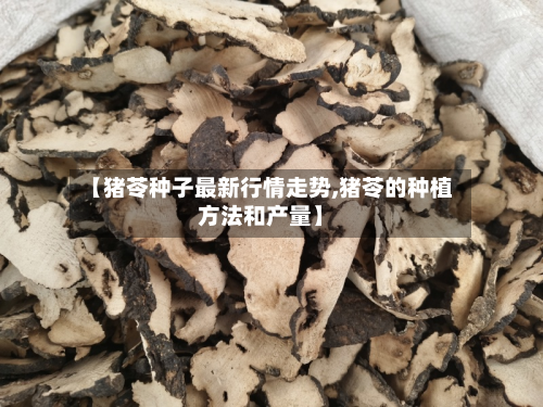 【猪苓种子最新行情走势,猪苓的种植方法和产量】
