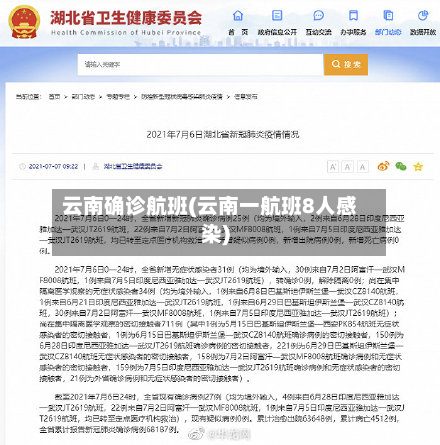 云南确诊航班(云南一航班8人感染)-第3张图片