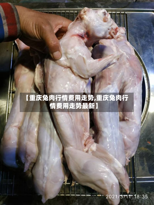 【重庆兔肉行情费用走势,重庆兔肉行情费用走势最新】-第2张图片