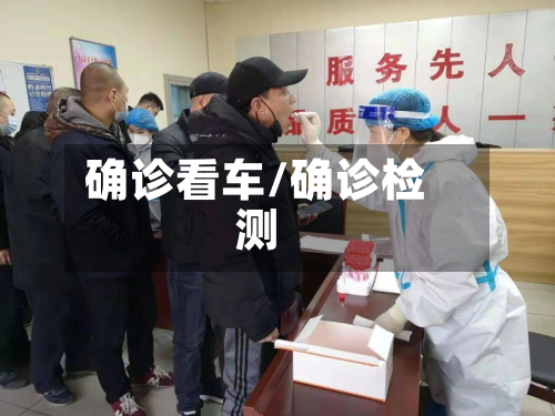 确诊看车/确诊检测-第1张图片