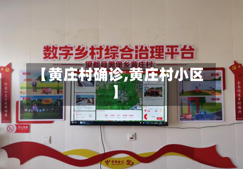 【黄庄村确诊,黄庄村小区】-第2张图片