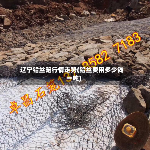 辽宁铅丝笼行情走势(铅丝费用多少钱一吨)