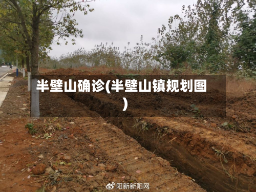 半壁山确诊(半壁山镇规划图)