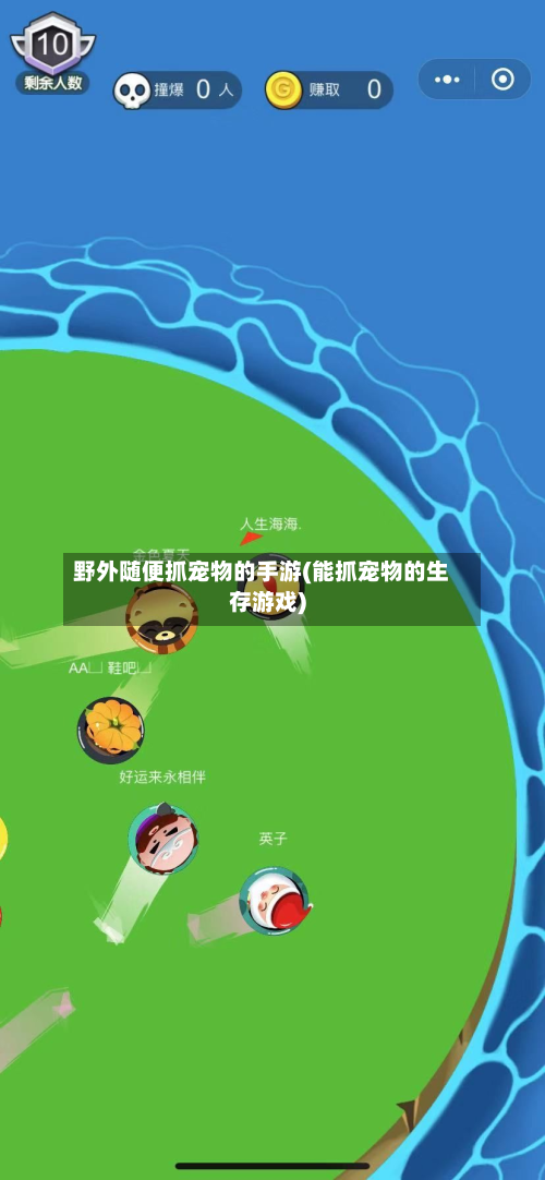 野外随便抓宠物的手游(能抓宠物的生存游戏)