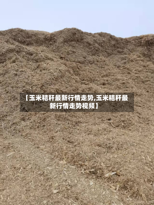 【玉米秸秆最新行情走势,玉米秸秆最新行情走势视频】-第2张图片