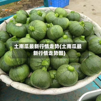 土南瓜最新行情走势(土南瓜最新行情走势图)