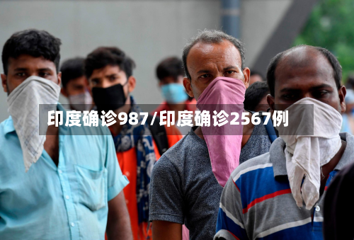 印度确诊987/印度确诊2567例-第3张图片