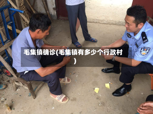 毛集镇确诊(毛集镇有多少个行政村)-第2张图片