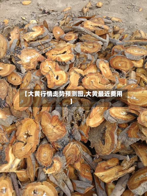 【大黄行情走势预测图,大黄最近费用】