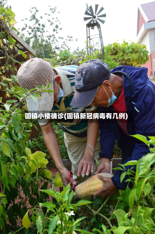 固镇小楼确诊(固镇新冠病毒有几例)