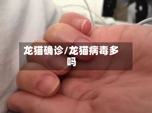 龙猫确诊/龙猫病毒多吗