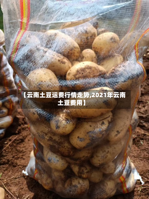【云南土豆运费行情走势,2021年云南土豆费用】-第2张图片
