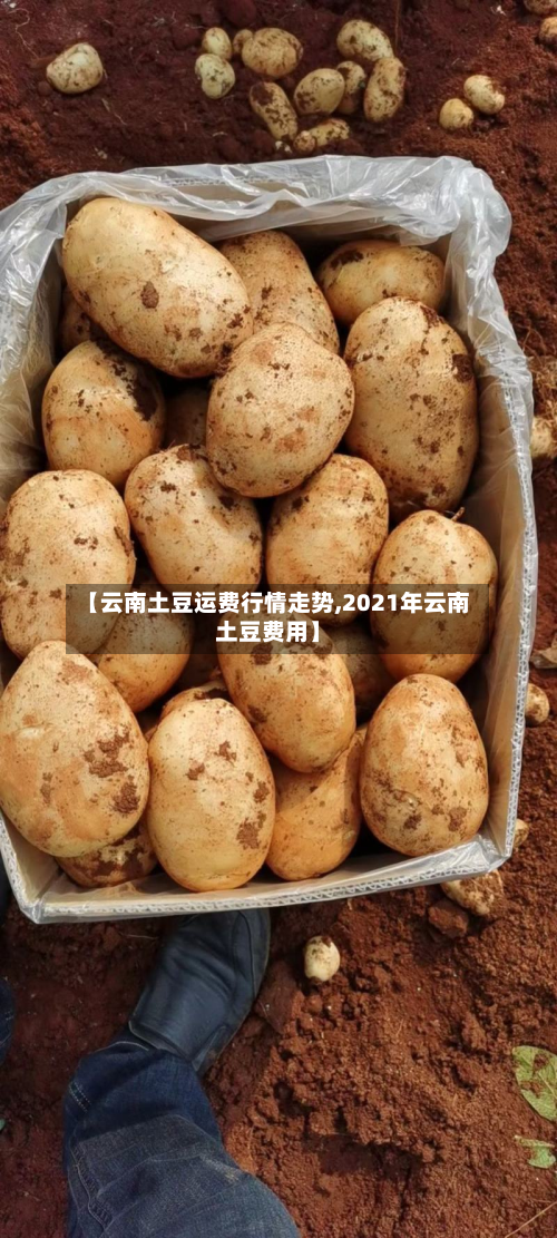 【云南土豆运费行情走势,2021年云南土豆费用】
